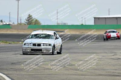 media/May-04-2025-Lucky Dog Racing (Sun) [[21629467aa]]/Turn 9 (115-130pm)/